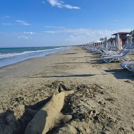 Bright With A Sea-view On The First Line Larnaca